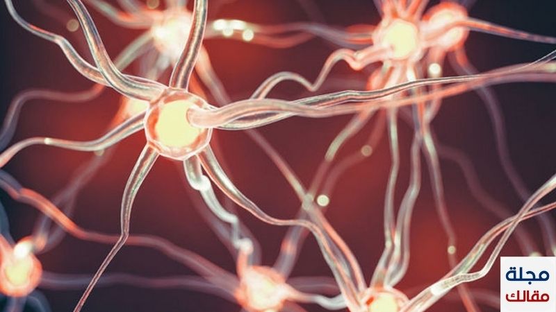 علاج التهاب الأعصاب