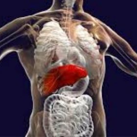 أمراض الكبد وعلاجها