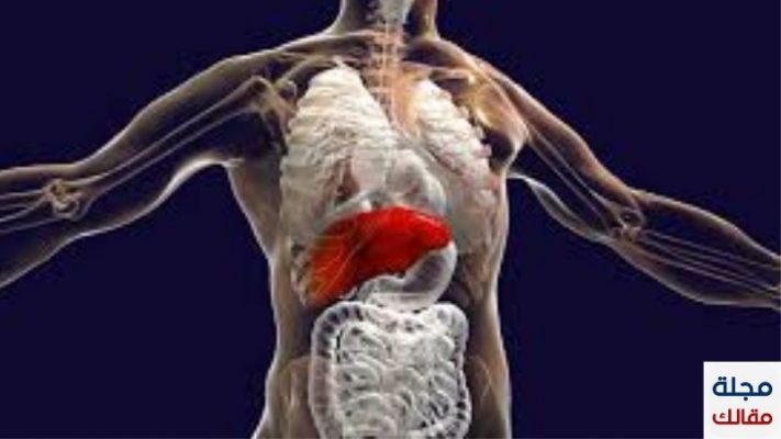أمراض الكبد وعلاجها